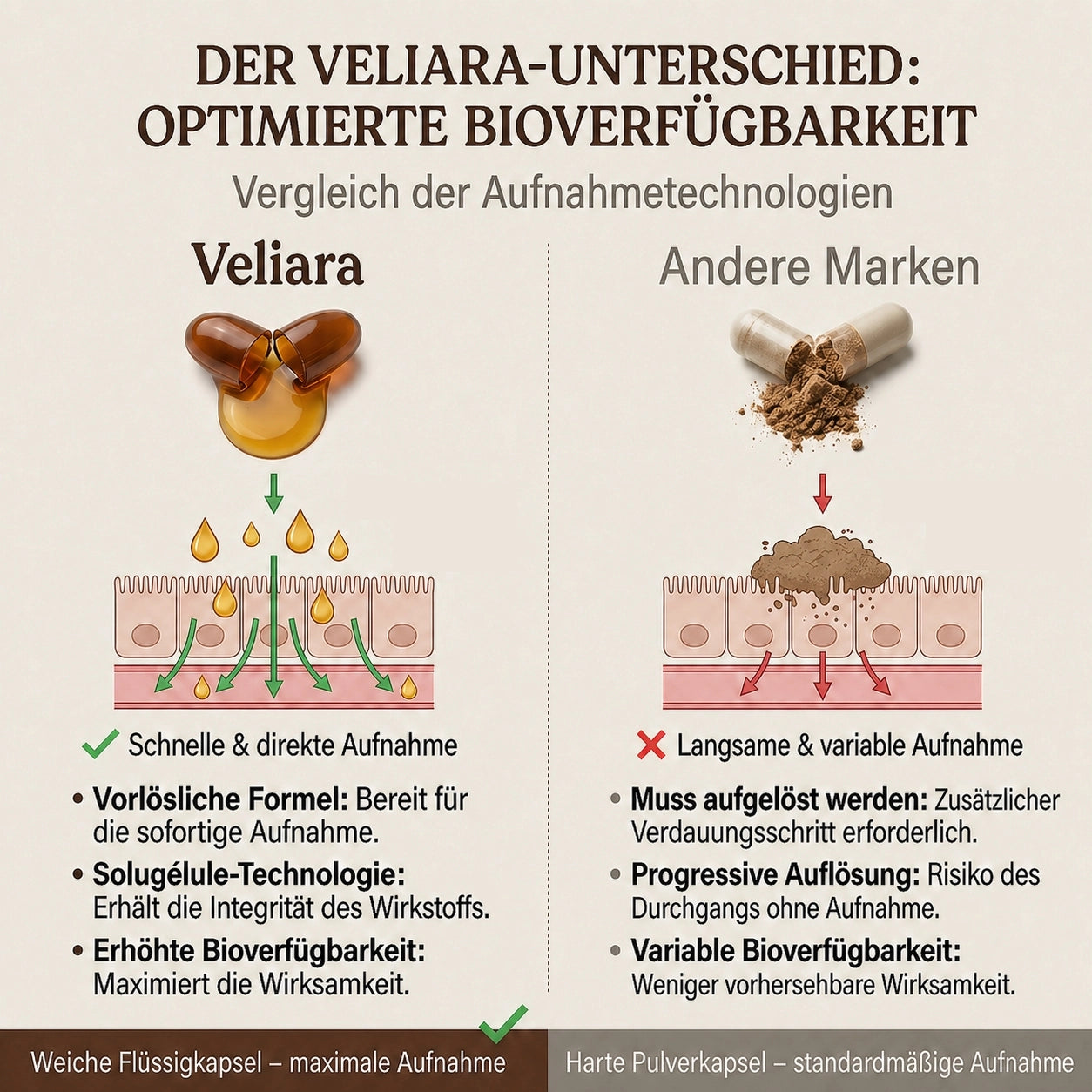Ceylon-Zimt zur Unterstützung eines gesunden Blutzuckerspiegels