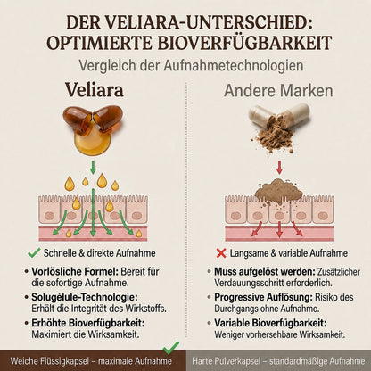 Ceylon-Zimt zur Unterstützung eines gesunden Blutzuckerspiegels
